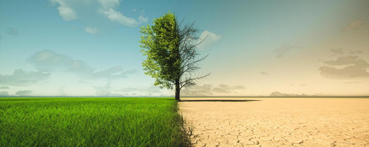 Das Förderprogramm Klimaschutz-Plus wurde fortgeführt