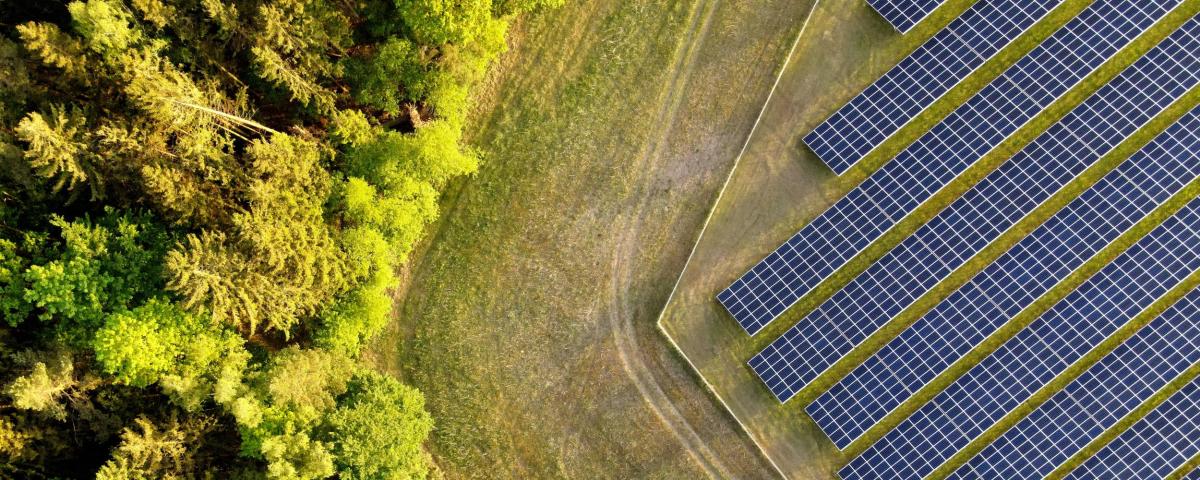 Neuer Rekord im Zubau von Photovoltaik in Baden-Württemberg. Alb-Donau-Kreis produziert die meiste Sonnenenergie