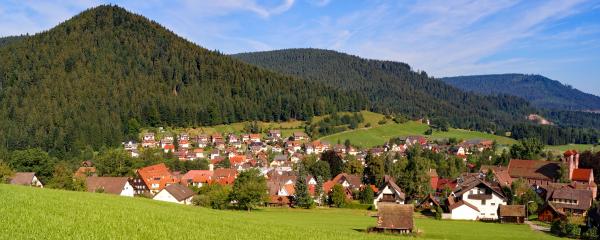Baiersbronn arbeitet am Waldumbau
