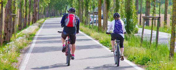 Radwege in Baden-Württemberg