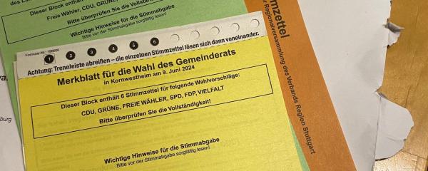 Kommunalwahlen 2024 in Baden-Württemberg - So haben die kleineren Kommunen abgestimmt